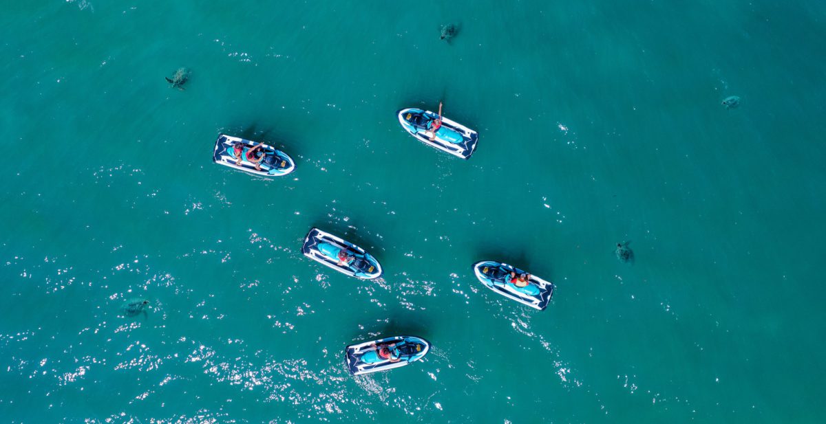 Turtles swimming in clear turquoise water around a jet ski tour as seen from above.